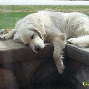 Meet your Posher, Nancy-jean